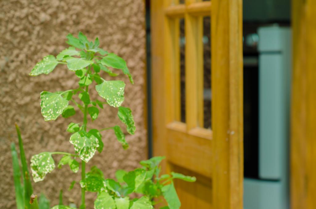 Hostal Alabalti San Pedro de Atacama Ngoại thất bức ảnh